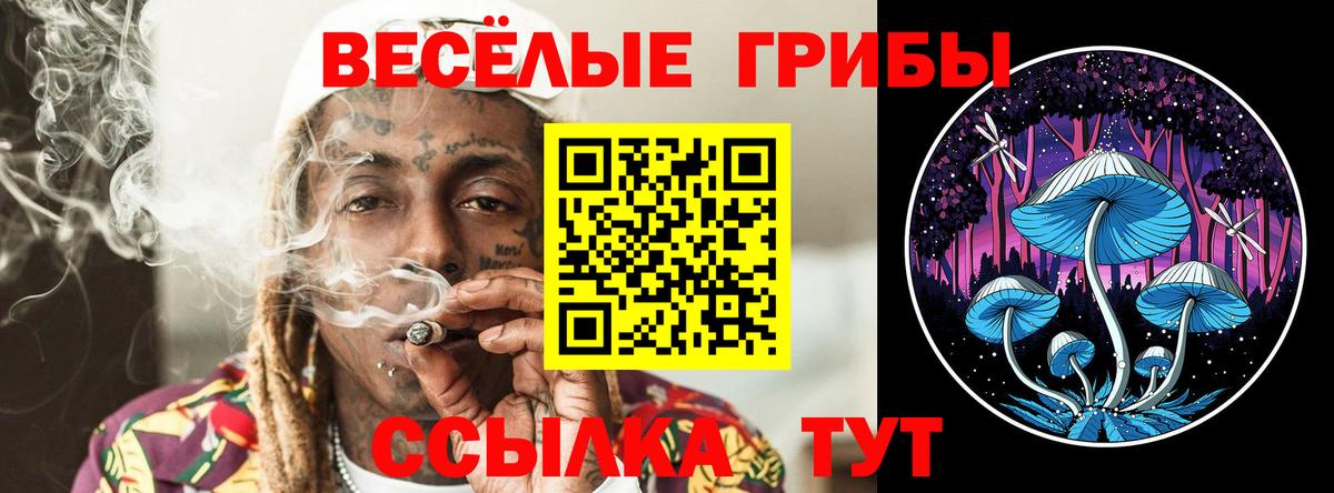 Псилоцибиновые грибы Magic Shrooms Ульяновск